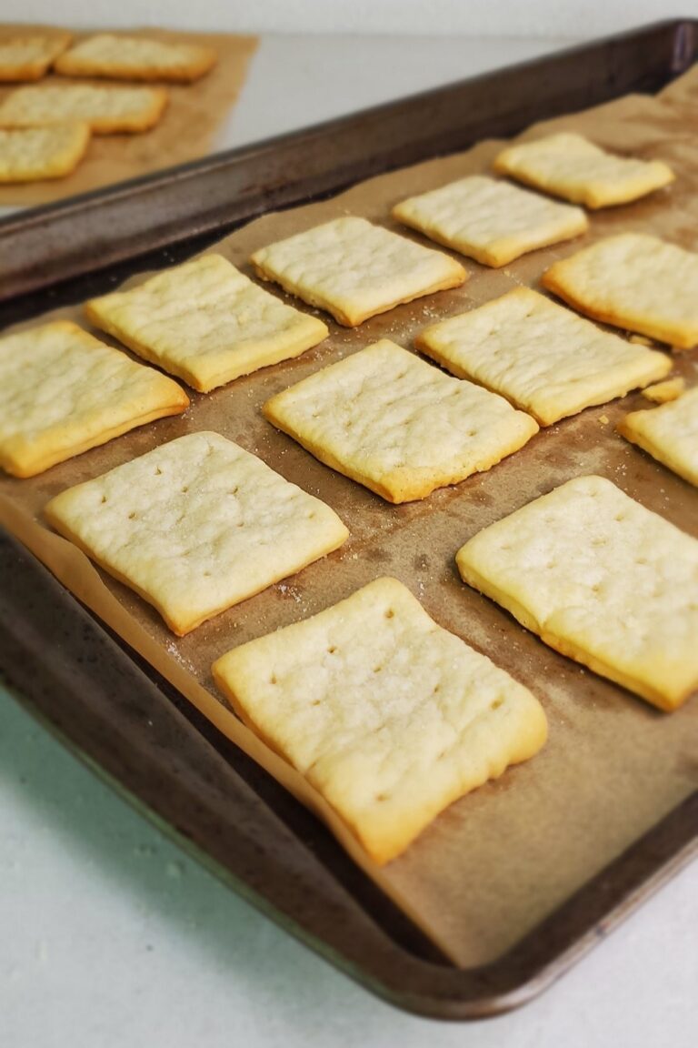 Sourdough Discard “Saltine” Crackers